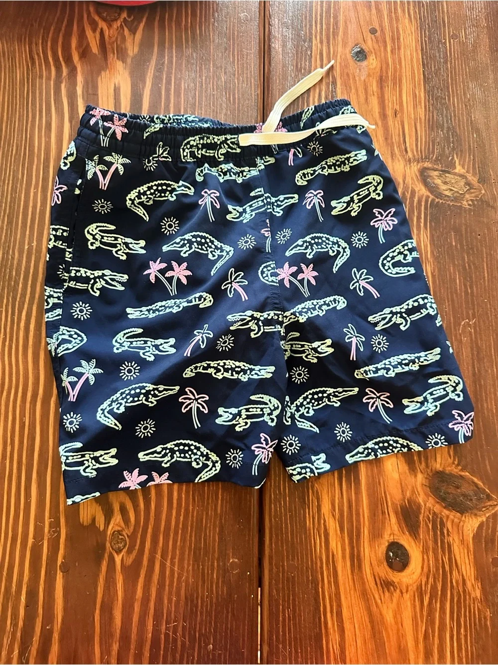 Chubbies Boys Youth Medium 10/12 Swim Shorts SET OF 2 dinosaurs alligator
